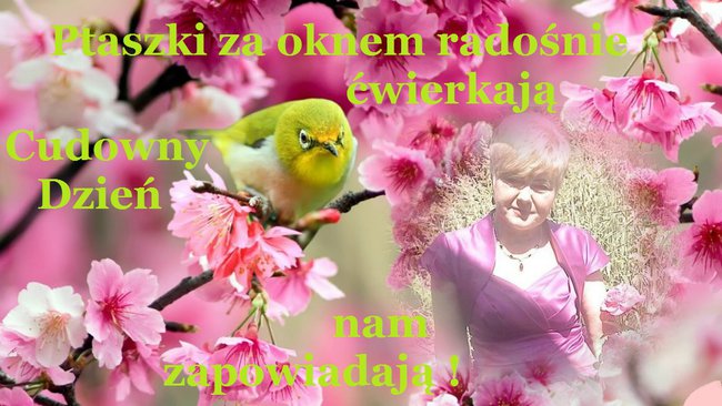 Krótki spacer po Warszawie ...