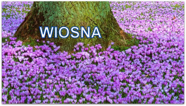 MAJ WIOSNA I WEEKEND