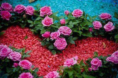 Dla Ciebie Kochana Ewuniu