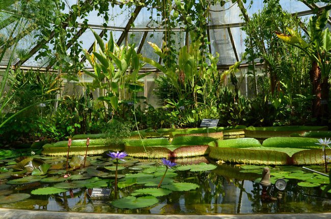 otwórz oczy, aby powitał cię świat uroczy, chociaż noc dla ciebie była miła, to pięknie wygląda twoja poranna mina