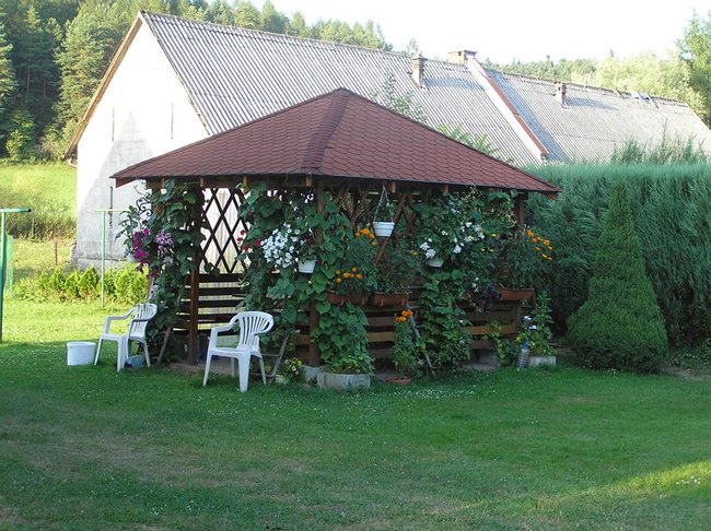 Wszystkiego najlepszego z okazji urodzin Zbysiu