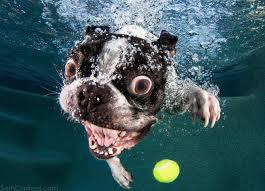 Spełnienia Marzen ! :*