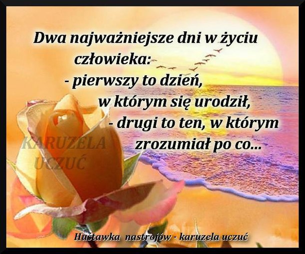 ZAPRASZAM WAS KOCHANI NA WYSPĘ