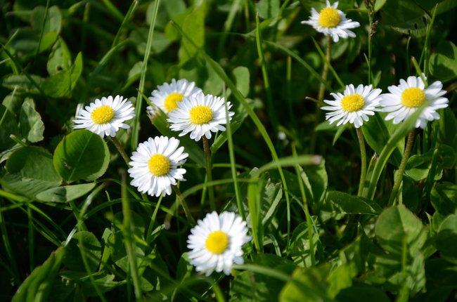 Dla .wyjątkowej osoby