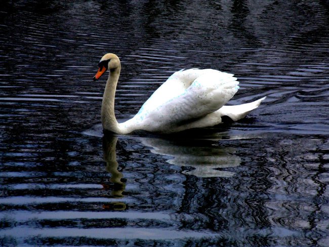 Zdjęcia z gimba :))