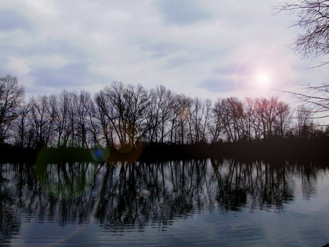 Różne zdjęcia :))