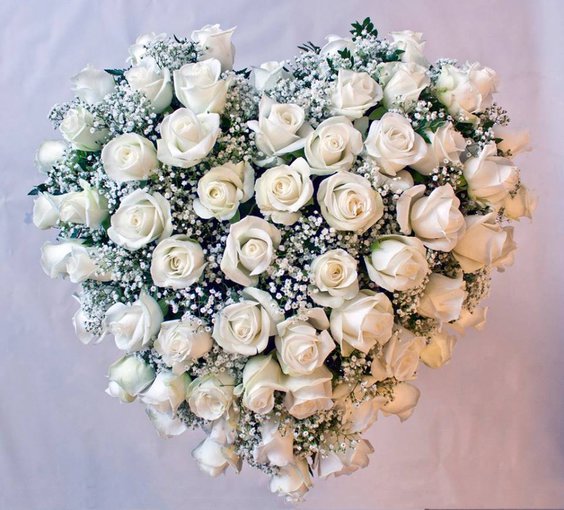 Miłość wraz z wiosną się rodzi