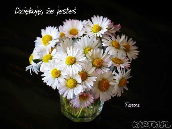 Przyjaźń od serca (BAYER)