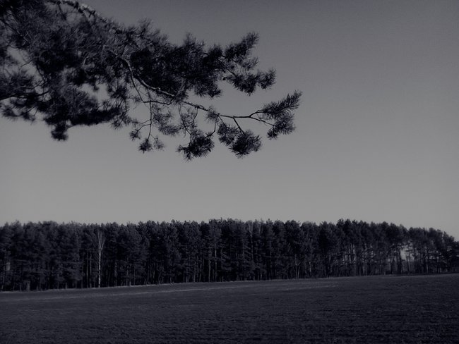 Wszystkiego Najlepszego