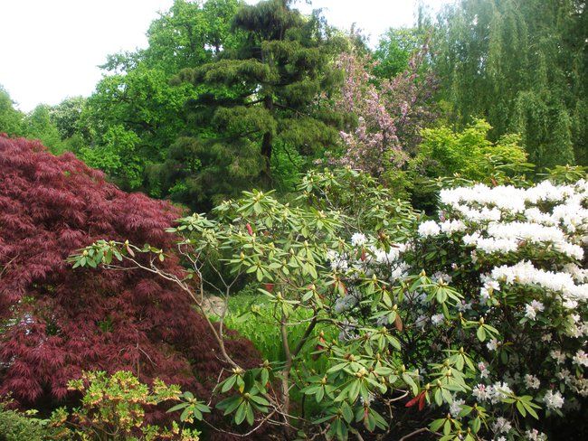 OGRÓD JAPOŃSKI WE WROCŁAWIU