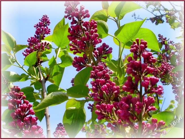 POZDRAWIAM CIĘ WIOSENNIE