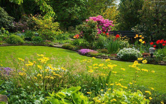 OJ  TAM...OJ TAM....