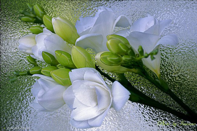 Dla mojej Córeczki Ewelinki :)