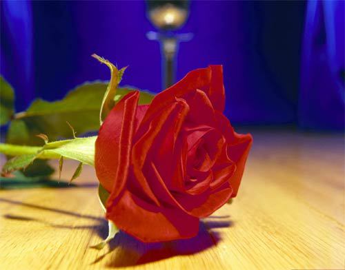 DLA NAJLEPSZEJ PRZYJACIÓŁKI KRYSI