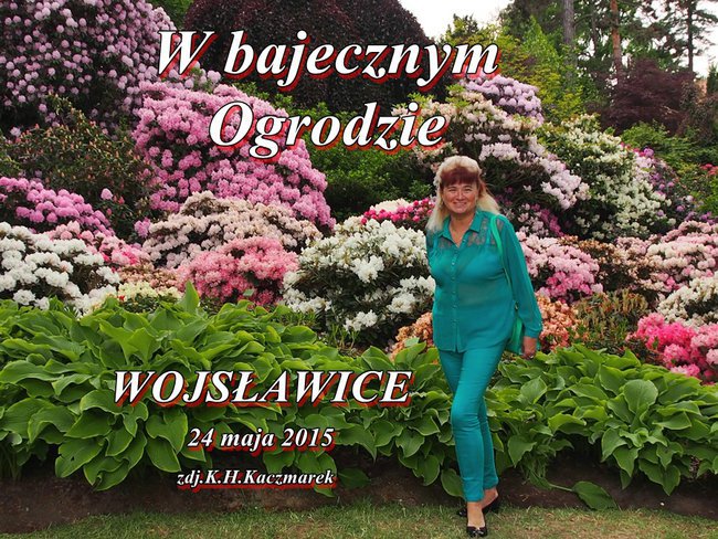 W BAJECZNYM OGRODZIE WOJSŁAWICKIM-W CUDOWNEJ KRAINIE KWITNĄCYCH RÓŻANECZNIKÓW