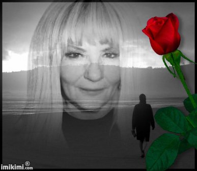 dla założycieli blogu