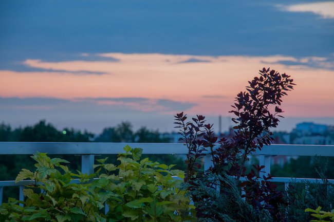 Na pomoc na ratune człowiekowi