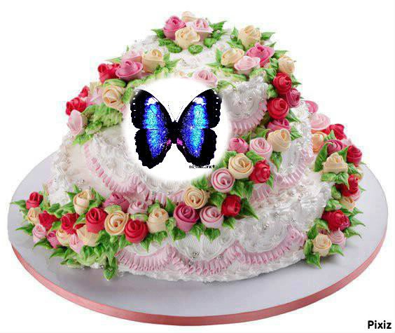 PIOTREK  -  100  LAT