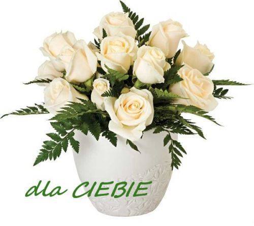 Dziś są Twoje Urodziny......................