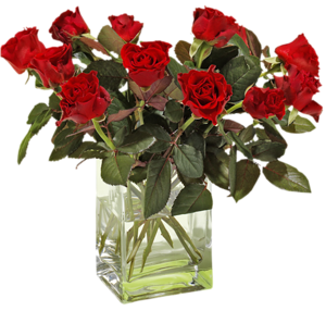 an angel kelly familly