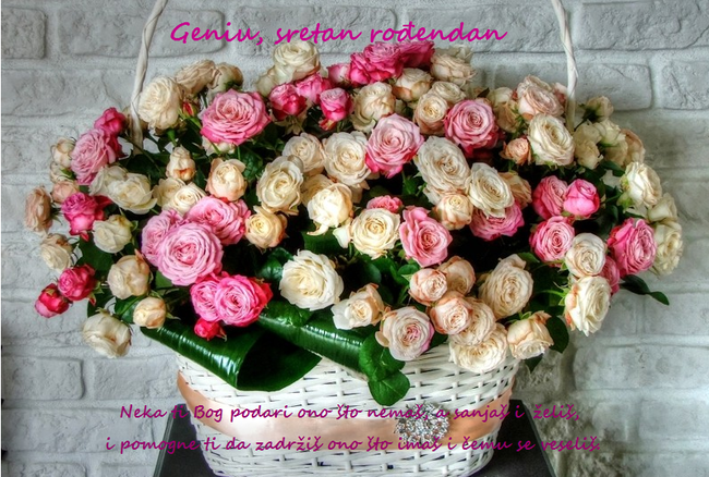 Genia - sretan rodendan