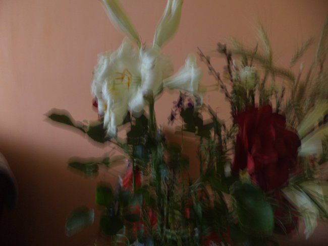 dla Janiny od Andrzeja,,