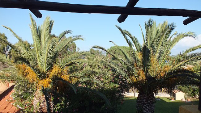 Zielona Sardynia, dzika Korsyka