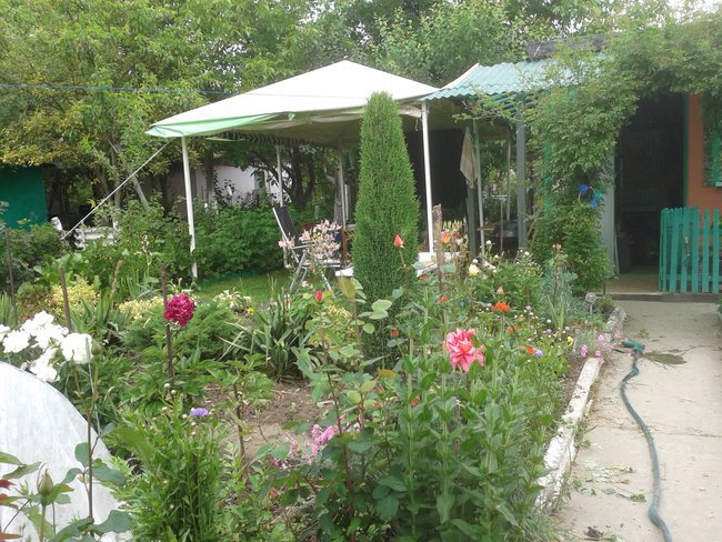 moje super wspomnienia