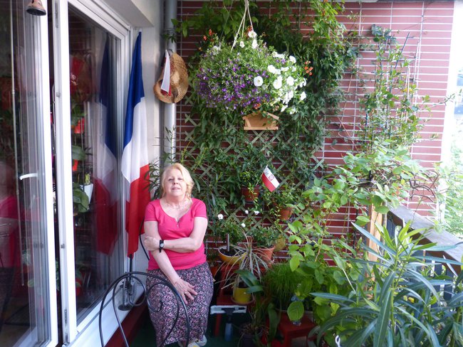 Moje drogie stokrotki