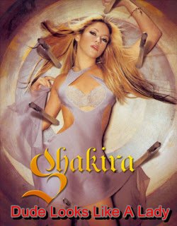 Shakira - Dude Looks Like A Lady