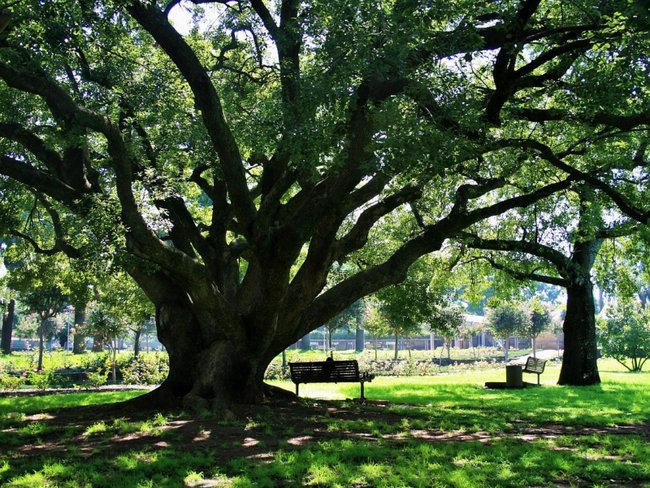 Piekne miejsca ,sloneczne lato