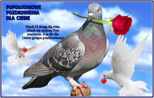 Pozdrawiam serdecznie