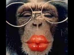 NIE ŻYJ TAK JAKBY TO BYŁ TWÓJ OSTATNI DZIEŃ ŻYCIA