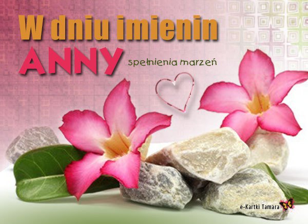 Imieniny Ani