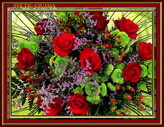 Moi Synowie i Synowe