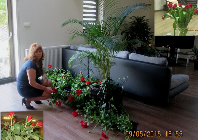 .piękno.. to miłość.. miłość.. to dobro.. dobro.. to człowiek.. a człowiek - to .JA..TY.. to..MY