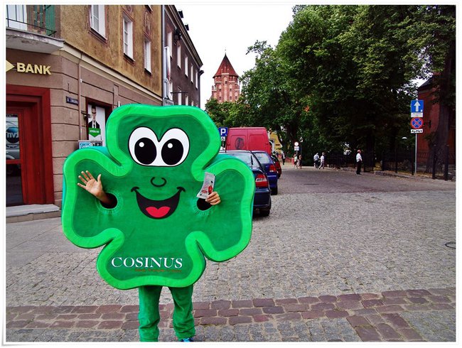 SZKOŁA COSINUS OLSZTYN