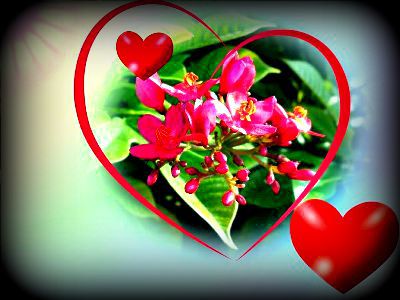 Zatrzymaj się na chwilę