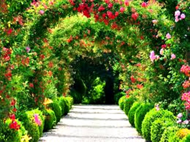 SPACER  PO  OGRODACH