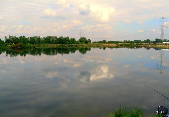 Święto Wielickiej Ryby.