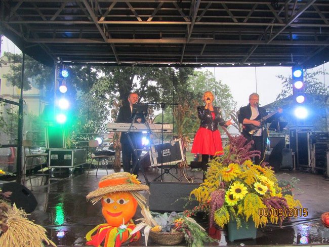 6.09.2015 Dożynki Gliwice Ostropa