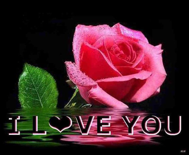 OD TWOJEGO ANIOŁKA       KOCHAM CIE MÓJ SKARBIE CAŁYM SERCEM