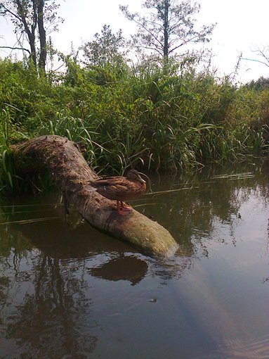 wspomnienia z wakacji 2015