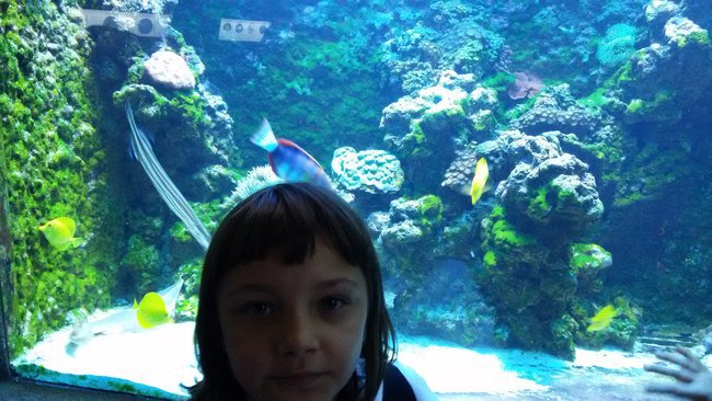 czterech muszkieterów