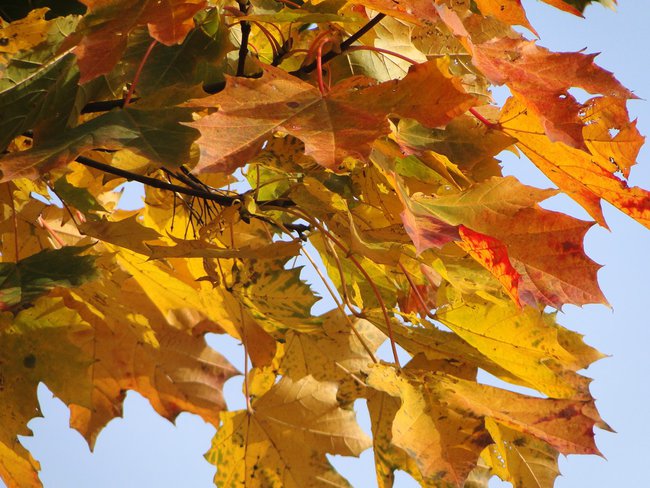 Jesień też może być piękna