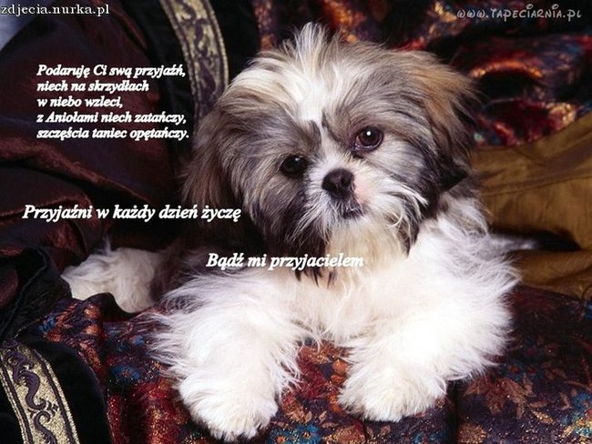 DEDYKACJA DLA  UKOCHANEGO