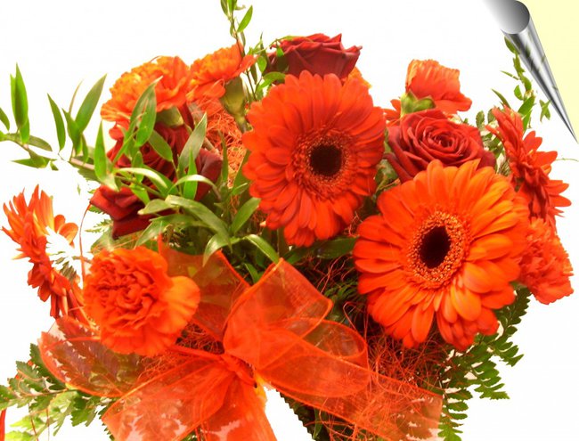 Milutkiego dnia  ...