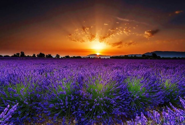 Jesienne pozdrowienia