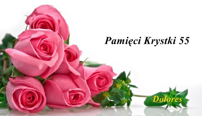 Krystka 55