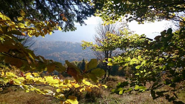 ***Jesień pod Babią Górą